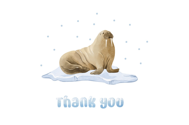 polar-animals-clipart-arctic-animal-png