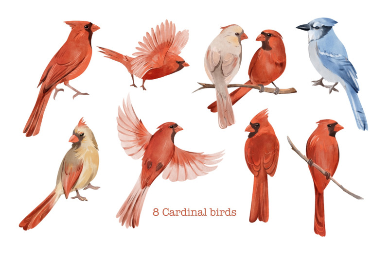 cardinal-clipart-red-watercolor-bird