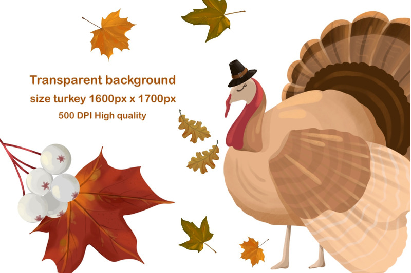 fall-clipart-png-thanksgiving-clipart