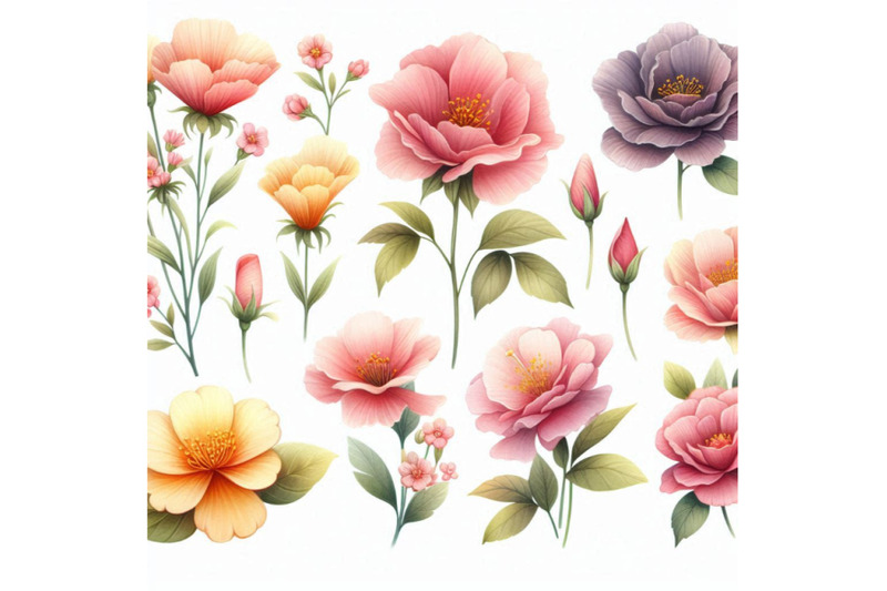 set-of-watercolor-flowers-isolated-on-white