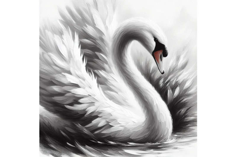 04-white-swan-with-long-plumage-in-monoc