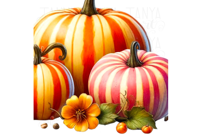 autumn-pumpkin-season-sublimation-print-crafting-file-transparent-pu