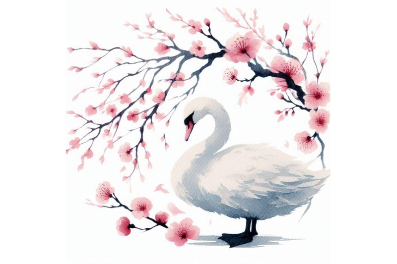 watercolor-swan-and-cherry-bloom