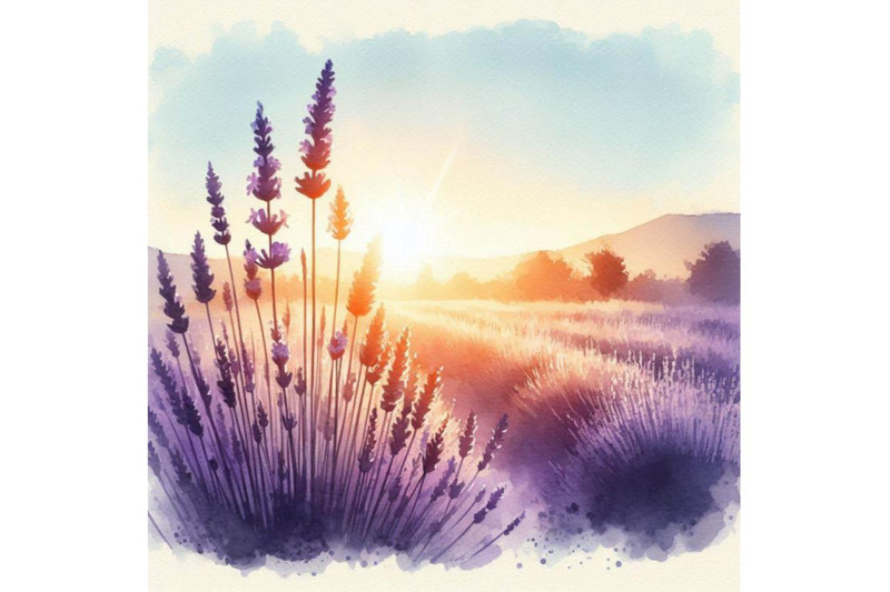 watercolor-lavender-field-landscape-summer-in-proven