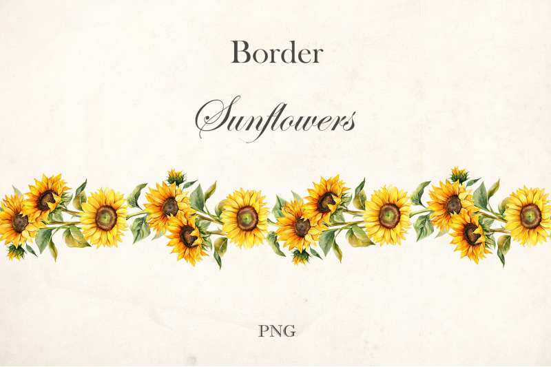 watercolor-sunflowers-border-flowers-border