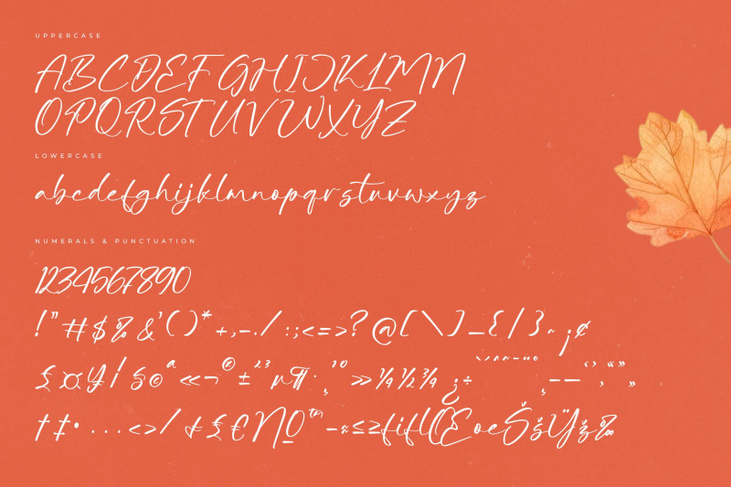 autumn-silent-modern-handwritten-script