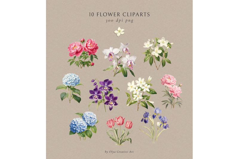 floral-seamless-patterns-cliparts