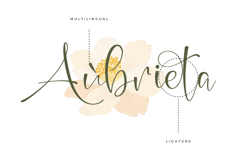 beauty-sungold-beautiful-script-font