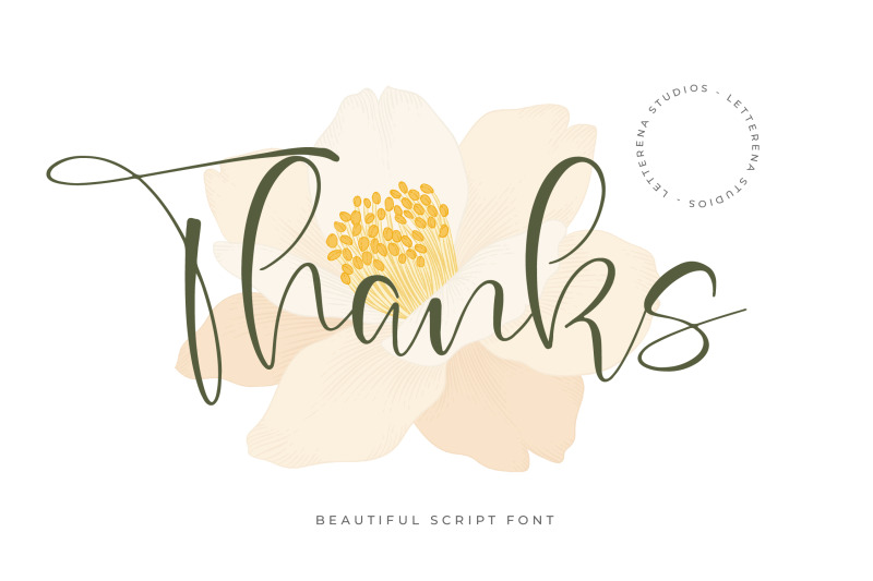 beauty-sungold-beautiful-script-font