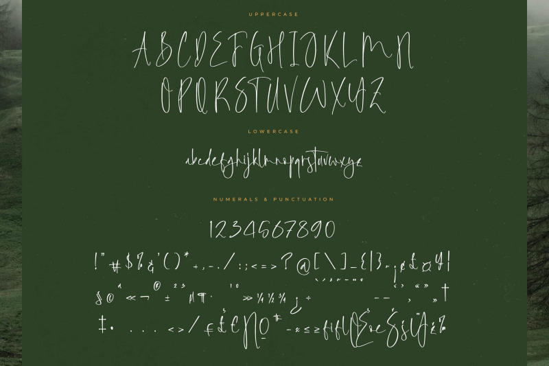 foresta-heights-freestyle-stylish-font