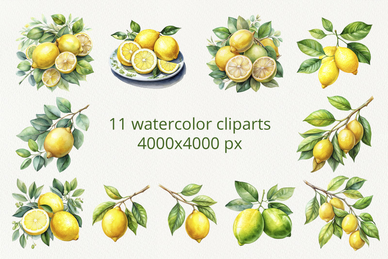 lemons-on-a-branch-watercolor-cliparts