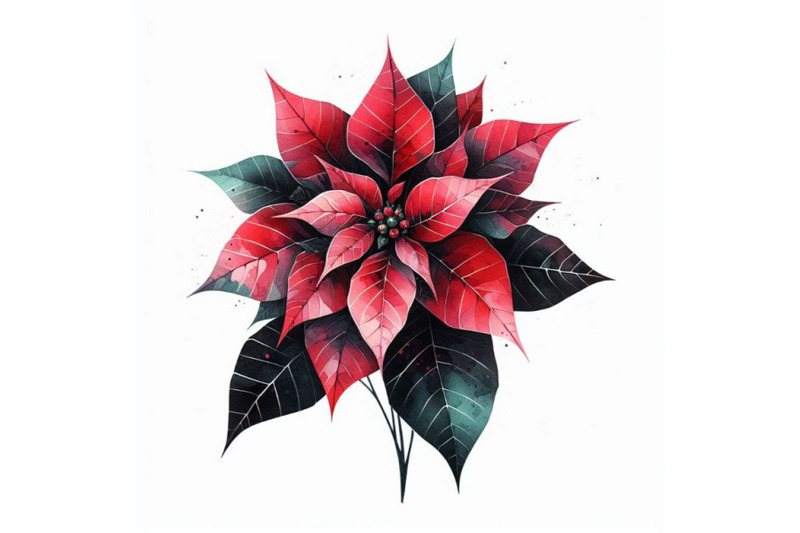 christmas-poinsettia-isolated-on-white-background-watercolor-f