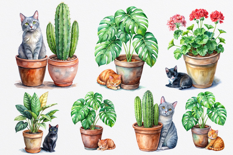 watercolor-house-plants-and-cats-png