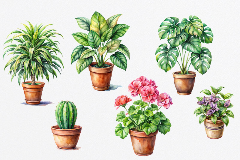 watercolor-house-plants-and-cats-png