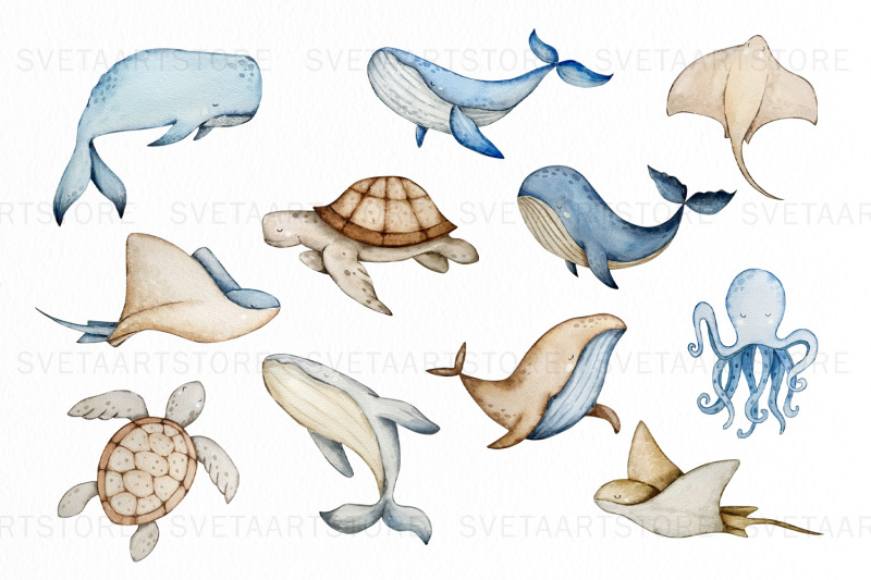 watercolor-under-the-sea-clipart