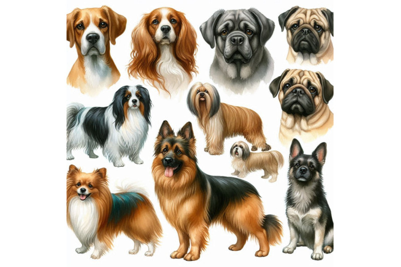 dogs-collection-watercolor-illustration-of-a-different-dog-breeds