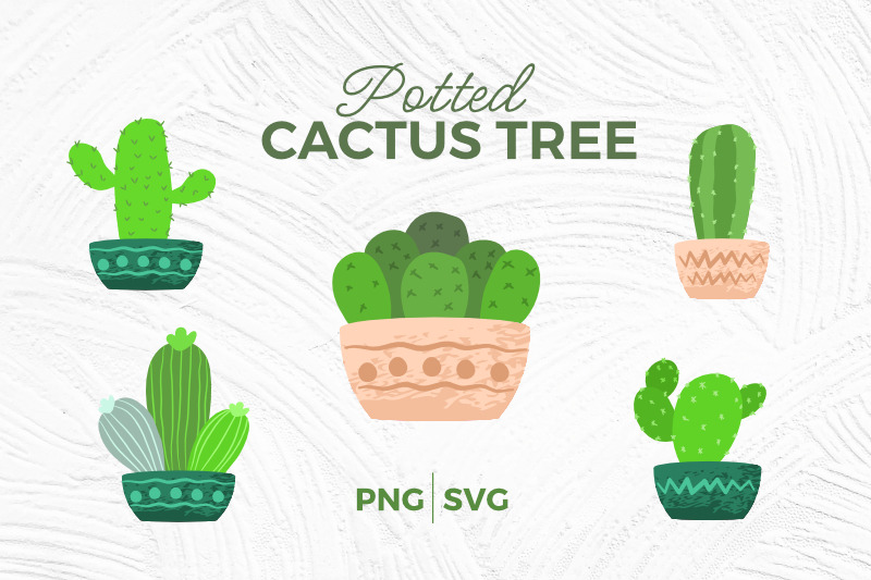 aesthetic-potted-cactus-tree