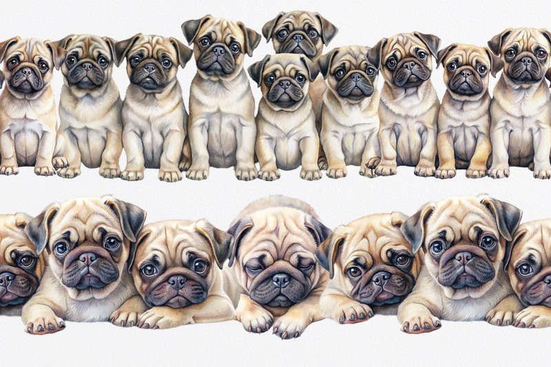 watercolor-pug-puppies-seamless-borders