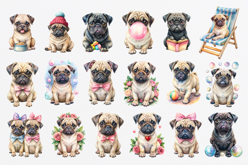 pug-puppies-watercolor-clipart-png