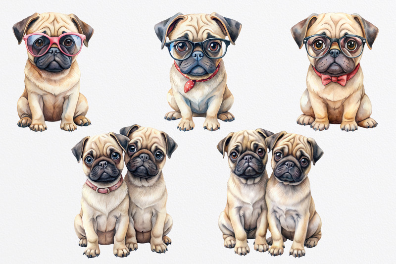 pug-puppies-watercolor-clipart-png