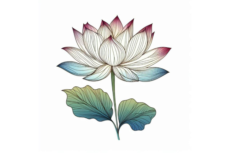 white-lotus-watercolor-botanical-illustration