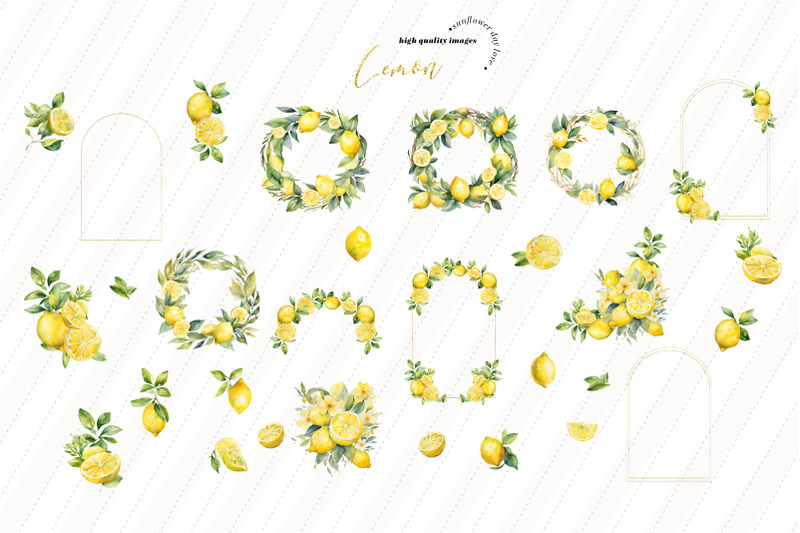 lemon-citrus-fruit-clipart-summer-greenery