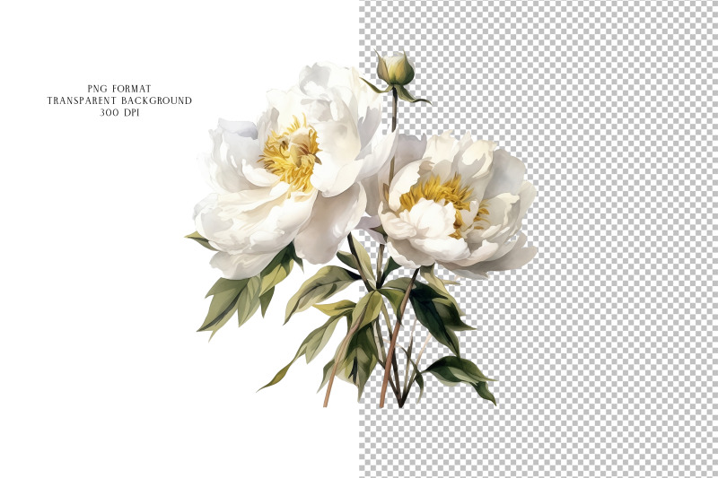 white-peonies-png-wedding-flower-bouquets