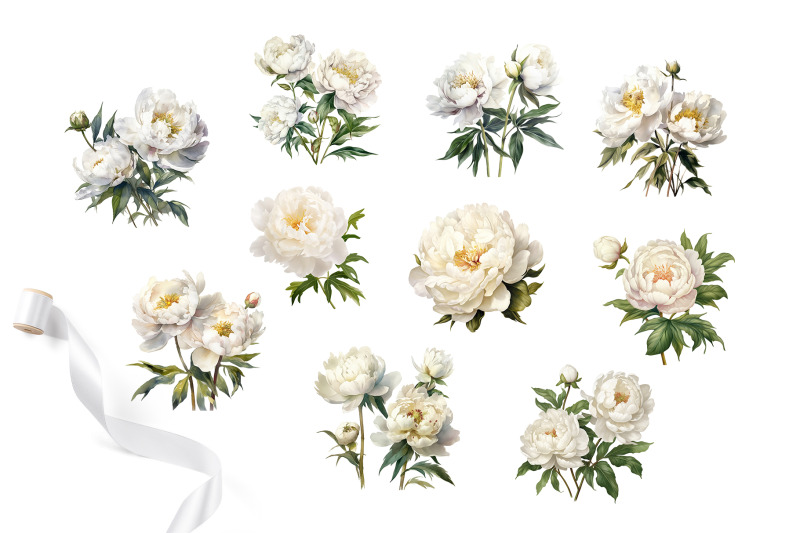 white-peonies-png-wedding-flower-bouquets