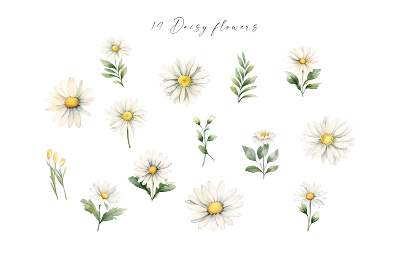 daisy-and-bells-flower-set