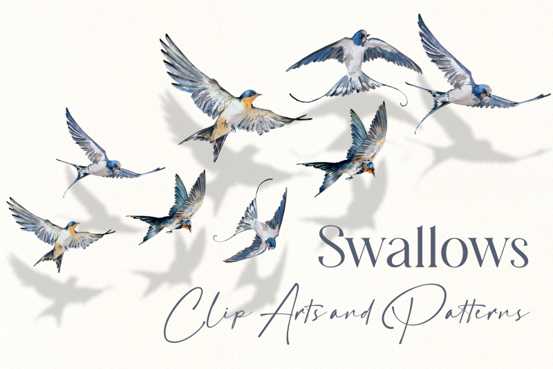 swallows-watercolour-set