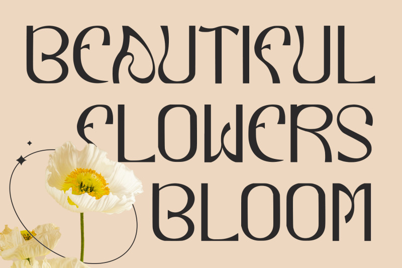 reqiezza-decorative-display-font