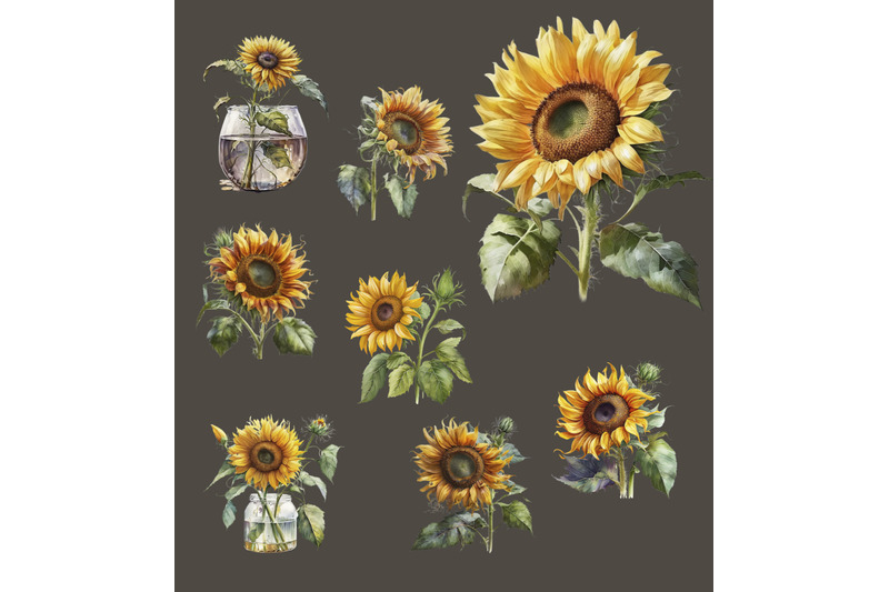 watercolor-sunflower-clipart