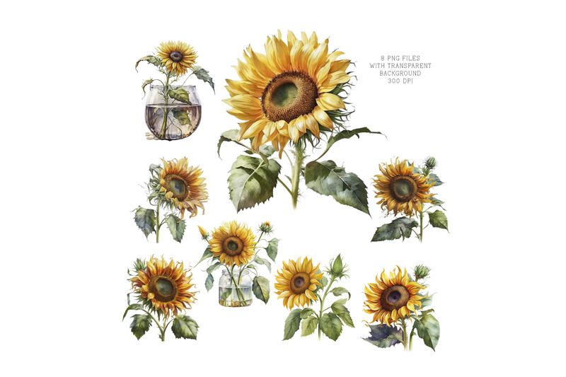 watercolor-sunflower-clipart