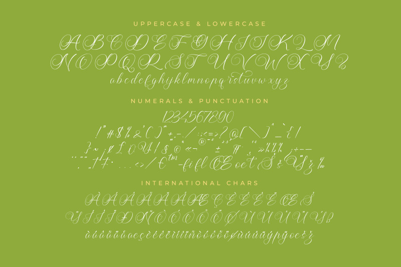 higland-amaranth-stylish-calligraphy-font