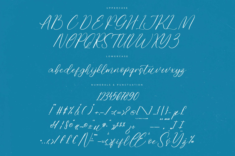 homestay-winter-freestyle-stylish-font