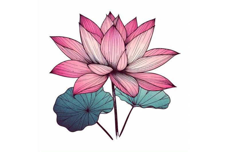 pink-lotus-watercolor-botanical-illustration