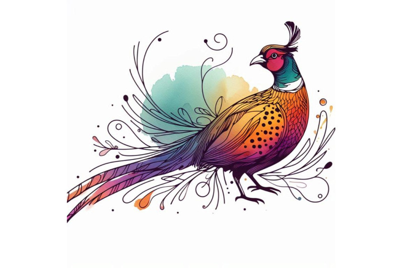 bird-pheasant-watercolor-illustration