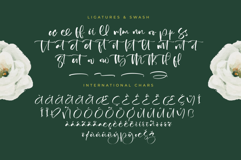 bistania-mayneli-freestyle-stylish-font