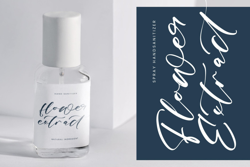 magnotus-bractea-beautiful-script-font