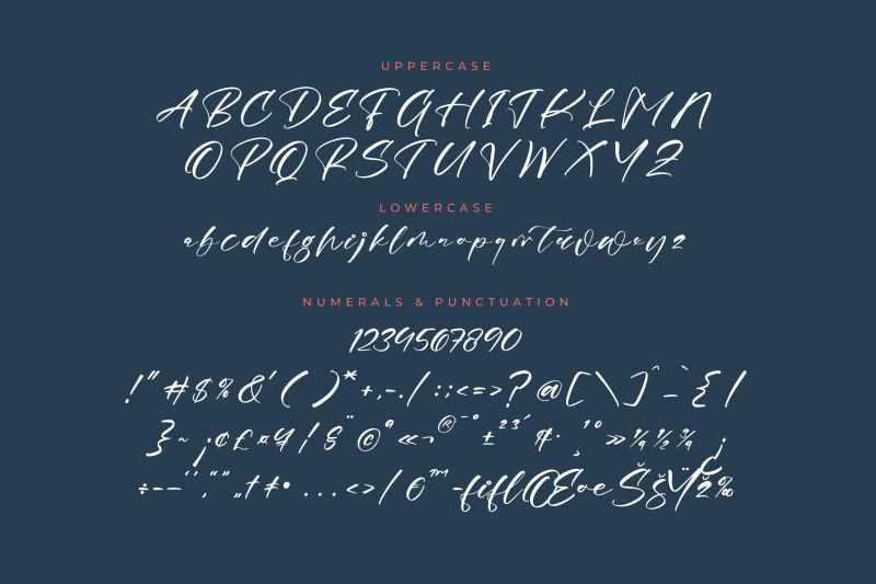 magnotus-bractea-beautiful-script-font