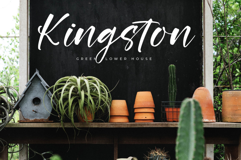 rustling-kingdom-modern-script-font