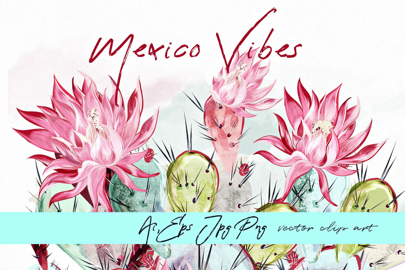 mexico-vibes-cactus-illustration-set