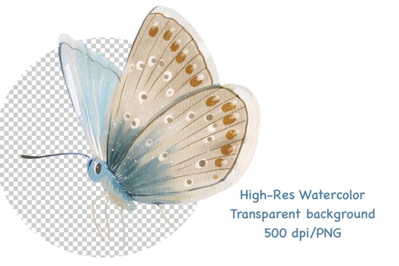 watercolor-butterflies-clipart-butterfly-illustration