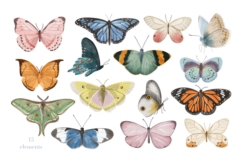 watercolor-butterflies-clipart-butterfly-illustration