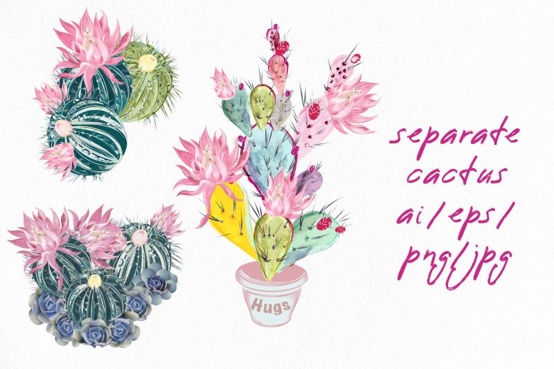 mexico-vibes-cactus-illustration-set