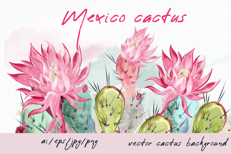 mexico-vibes-cactus-illustration-set