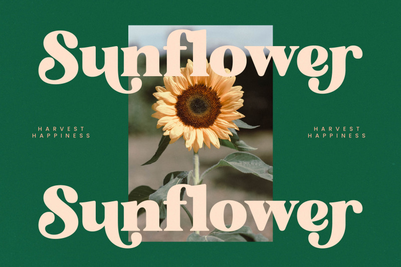 bright-sunlist-modern-vintage-serif