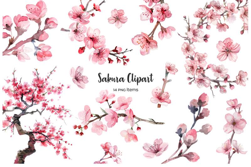 watercolor-sakura-clipart-japanese-cherry-clip-art-japanese-cherry