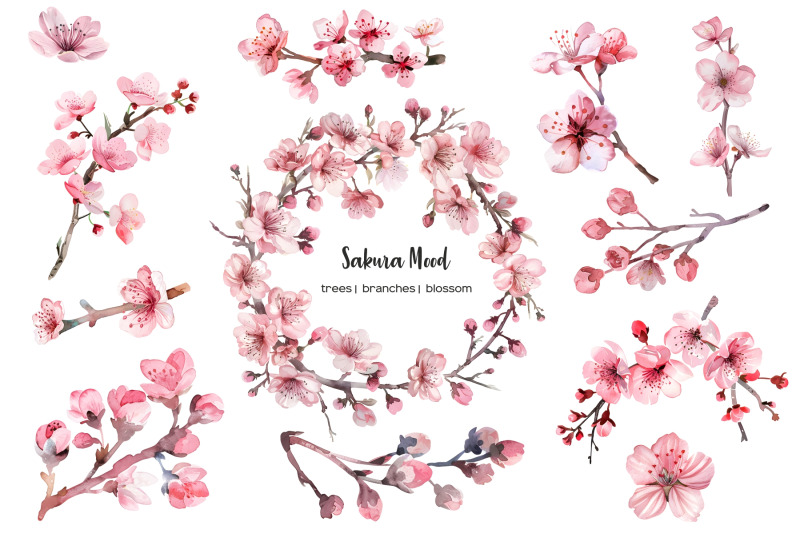 watercolor-sakura-clipart-japanese-cherry-clip-art-japanese-cherry