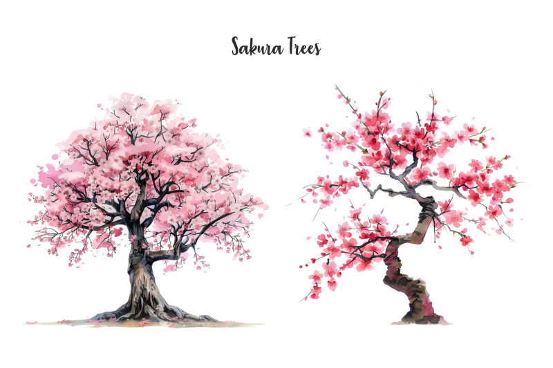 watercolor-sakura-clipart-japanese-cherry-clip-art-japanese-cherry